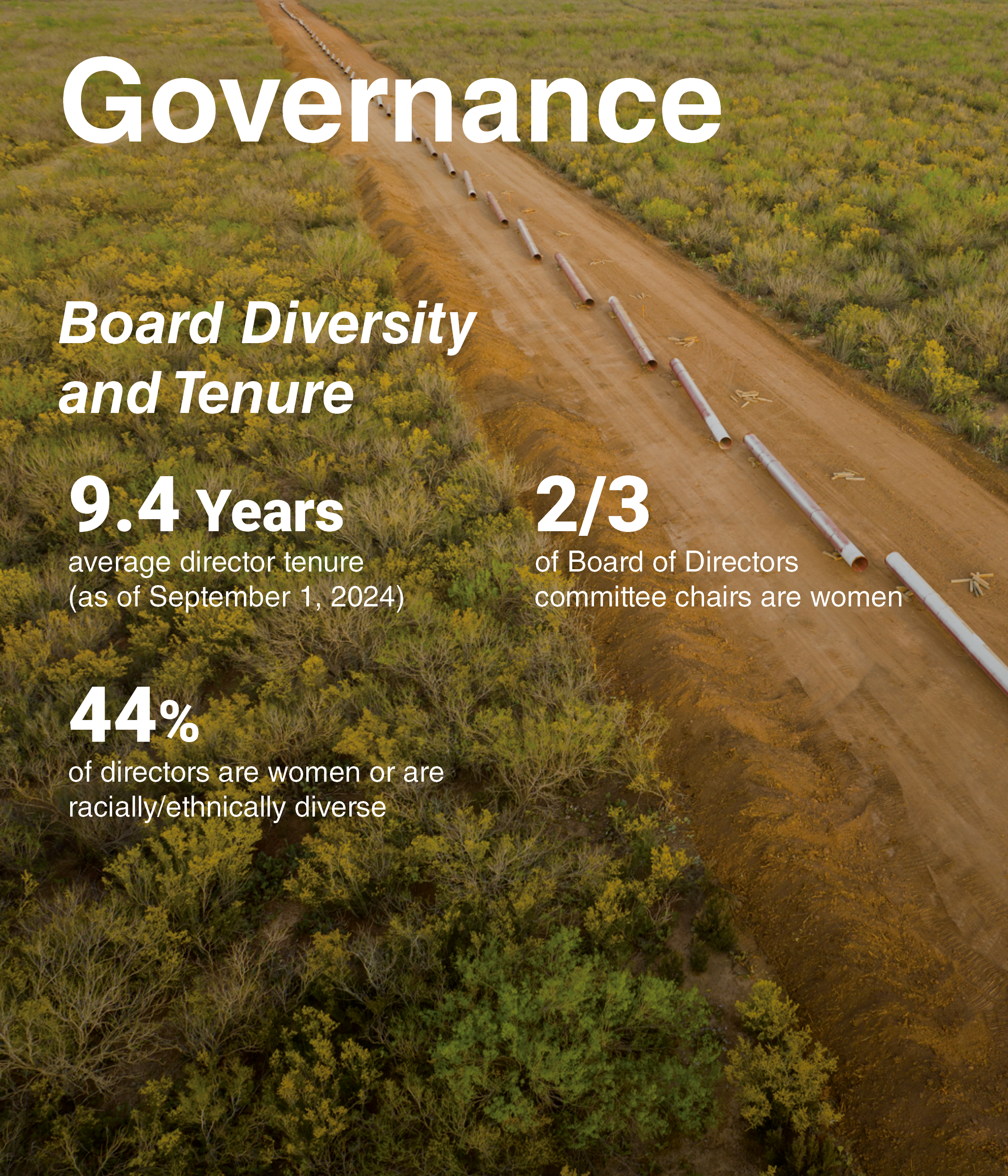 Governance